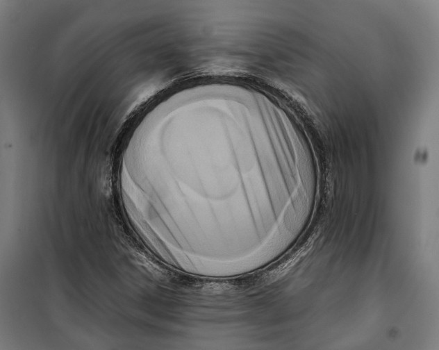 X0000099551306200806061507