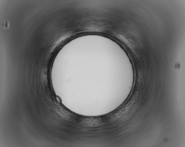 X0000099551307200806061507