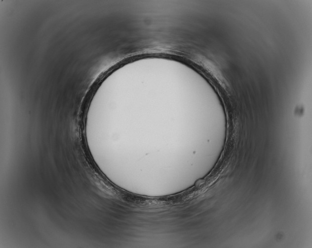 X0000099551308200806061507