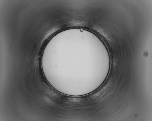 X0000099551309200806061507