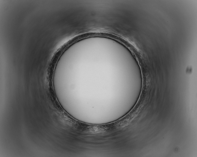 X0000099551311200806061508