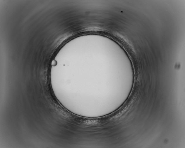 X0000099551313200806061508