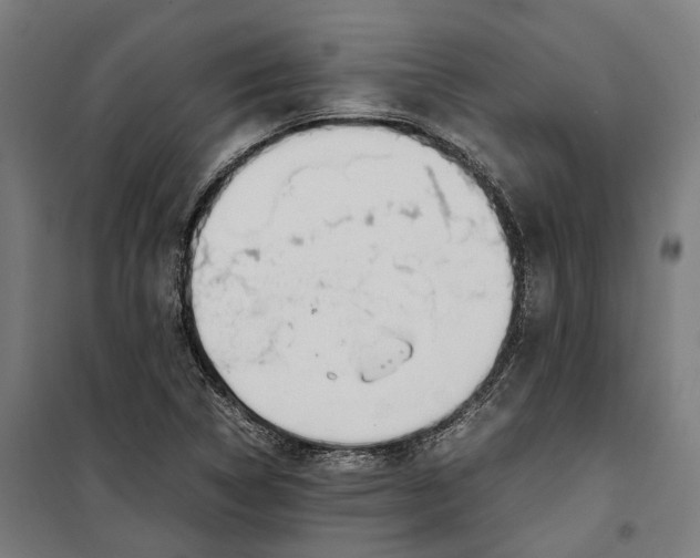 X0000099551314200806061508