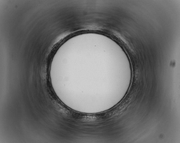 X0000099551315200806061508