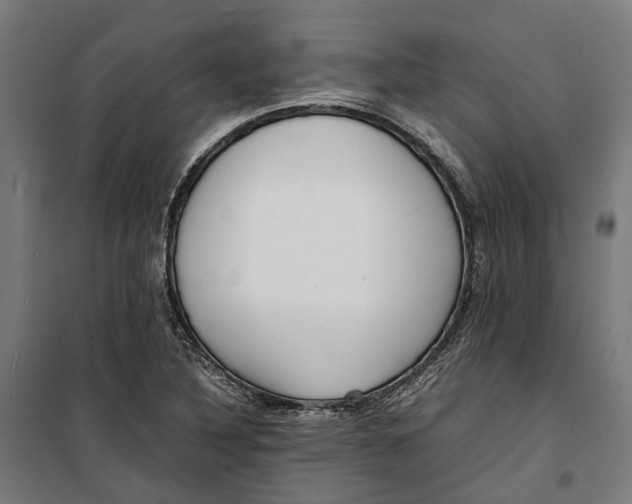 X0000099551316200806061508