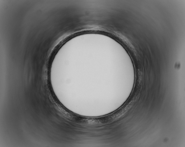 X0000099551318200806061508