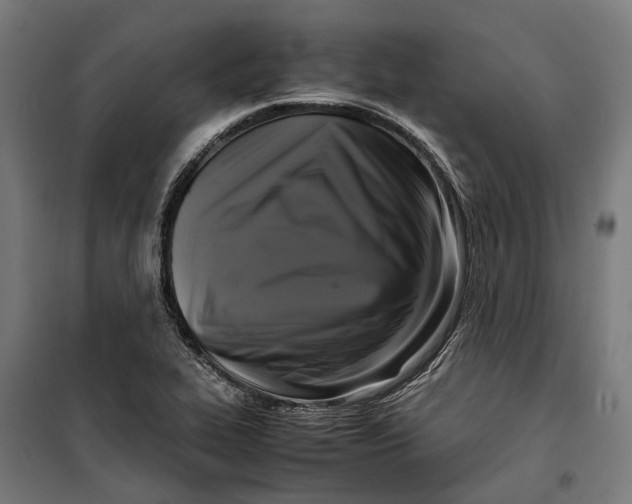 X0000099551319200806061508