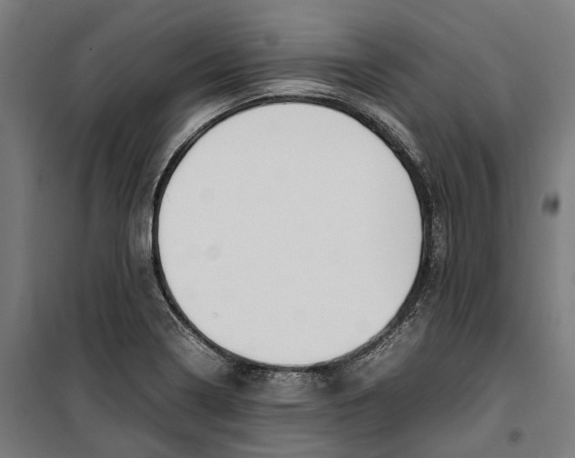 X0000099551322200806061508