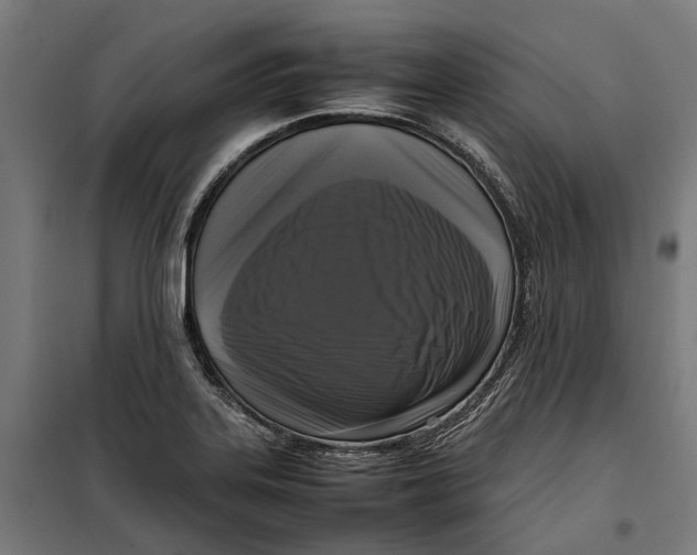 X0000099551323200806061508