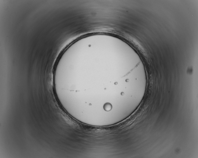 X0000099551324200806061508