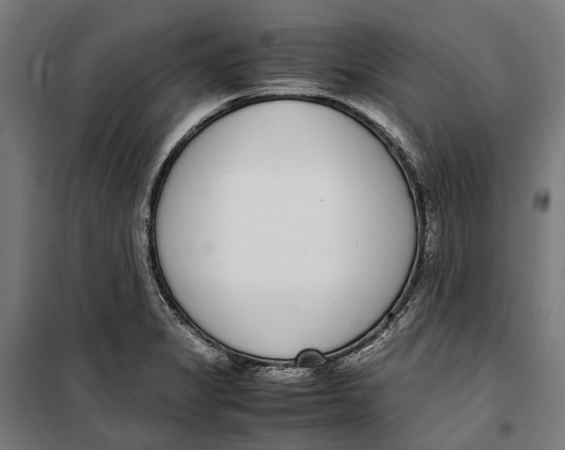 X0000099551325200806061508