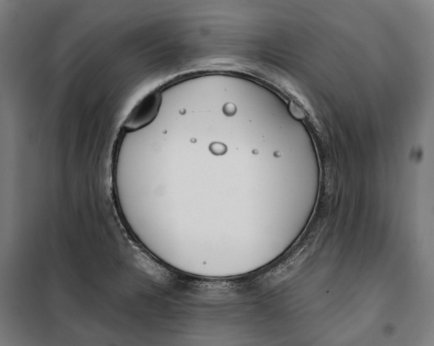 X0000099551328200806061508