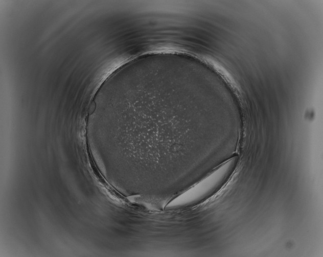 X0000099551329200806061508