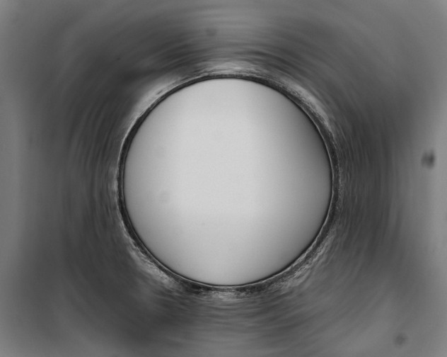 X0000099551330200806061508