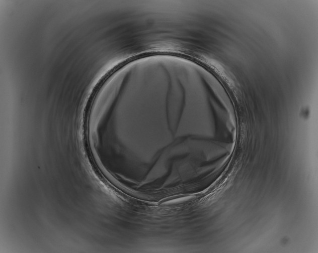 X0000099551331200806061508