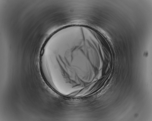 X0000099551334200806061508