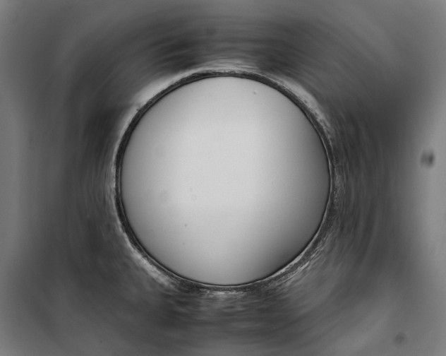 X0000099551335200806061508