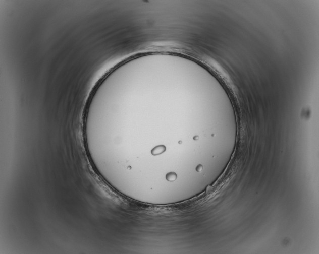 X0000099551336200806061508