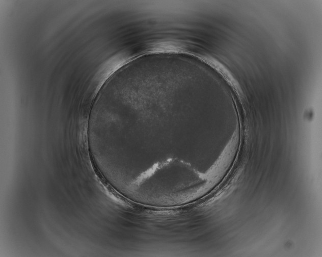 X0000099551337200806061508