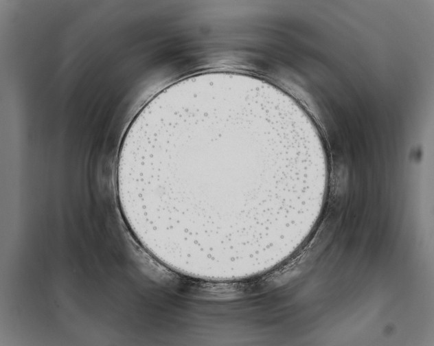 X0000099551338200806061508