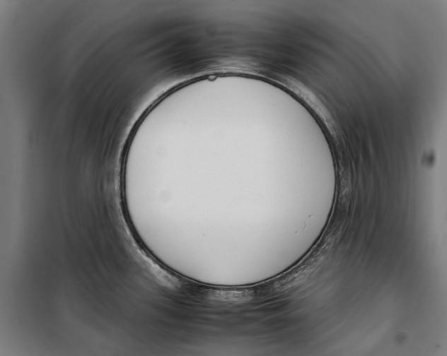 X0000099551339200806061508