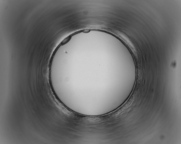 X0000099551340200806061508