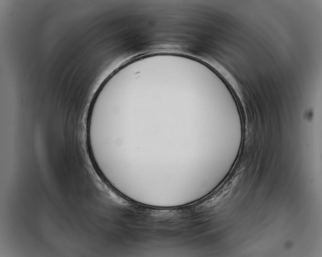 X0000099551341200806061508