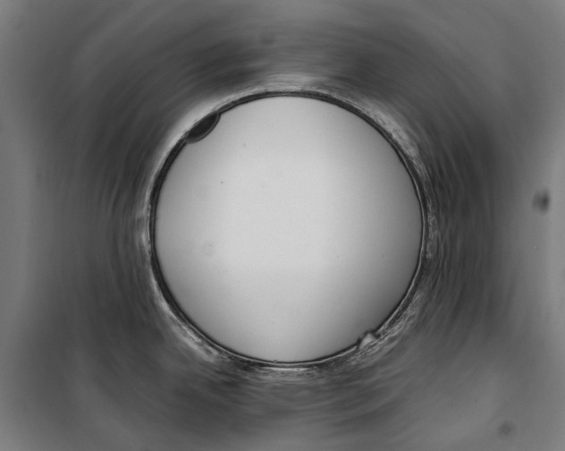 X0000099551342200806061508