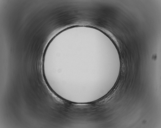 X0000099551343200806061508