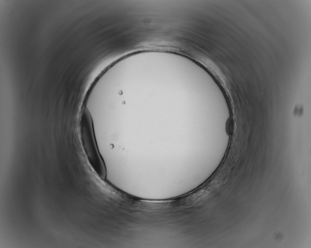 X0000099551344200806061508