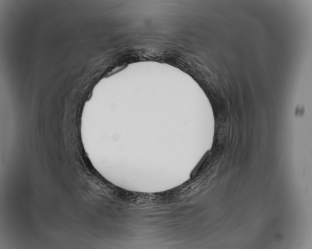 X0000099551345200806061507