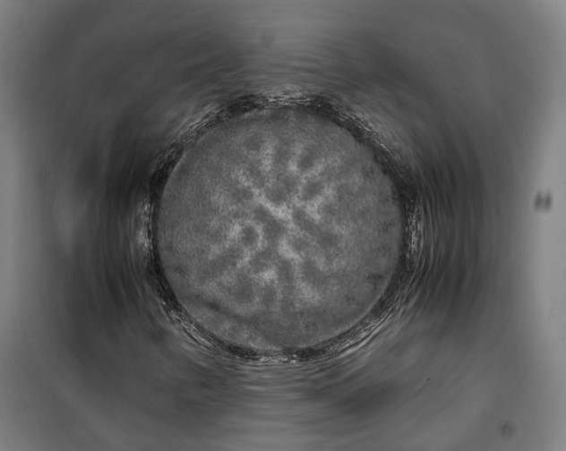 X0000099551346200806061507