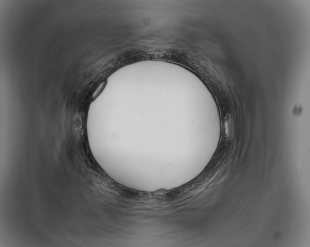 X0000099551347200806061507