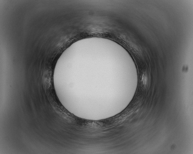 X0000099551348200806061507