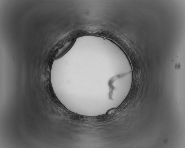 X0000099551349200806061507