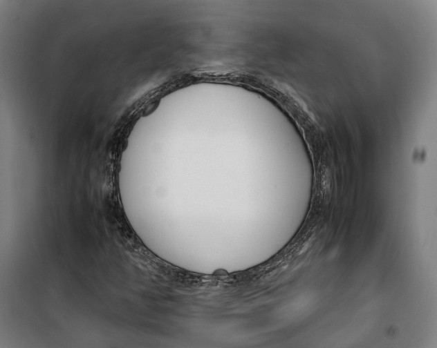 X0000099551350200806061507