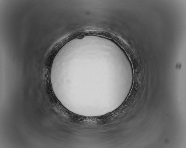 X0000099551351200806061507