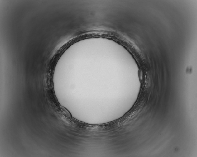 X0000099551352200806061507