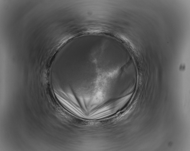 X0000099551353200806061507