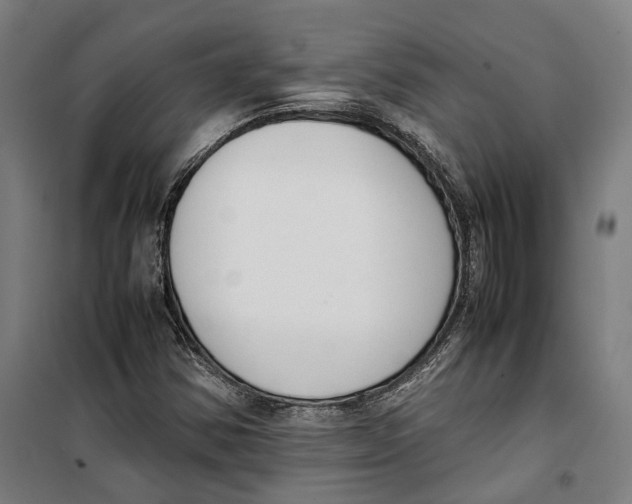 X0000099551354200806061507