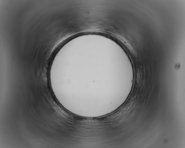 X0000099551356200806061507