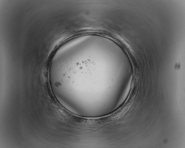 X0000099551357200806061507