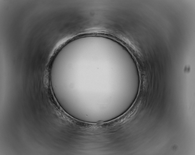 X0000099551358200806061507