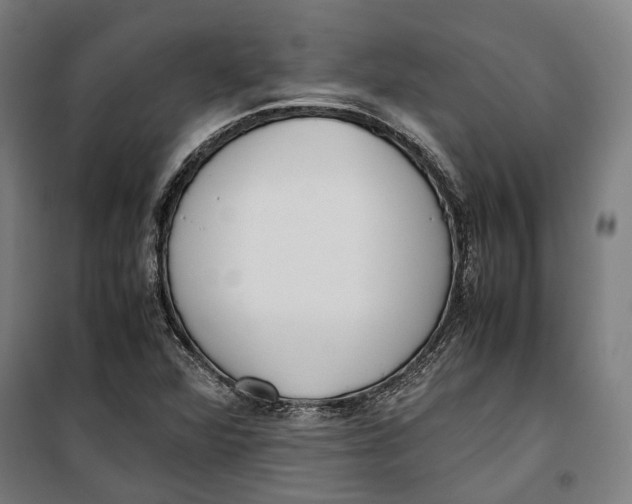 X0000099551360200806061507