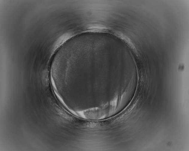 X0000099551362200806061507