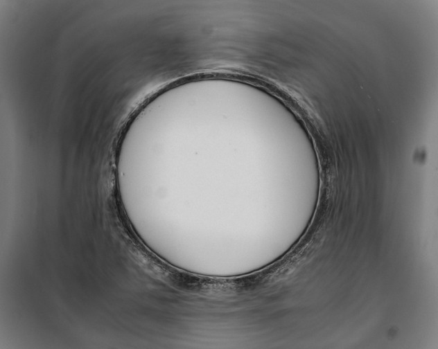 X0000099551363200806061507