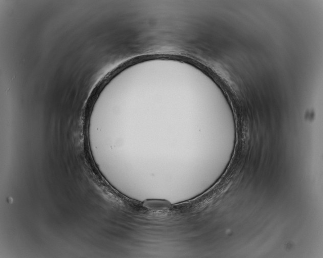 X0000099551364200806061507