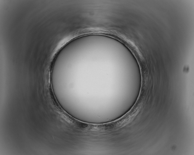 X0000099551365200806061507