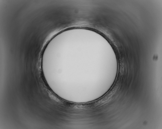 X0000099551366200806061507