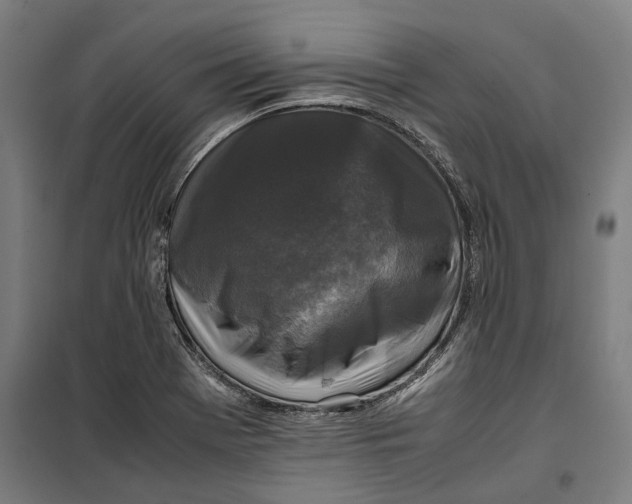 X0000099551369200806061507